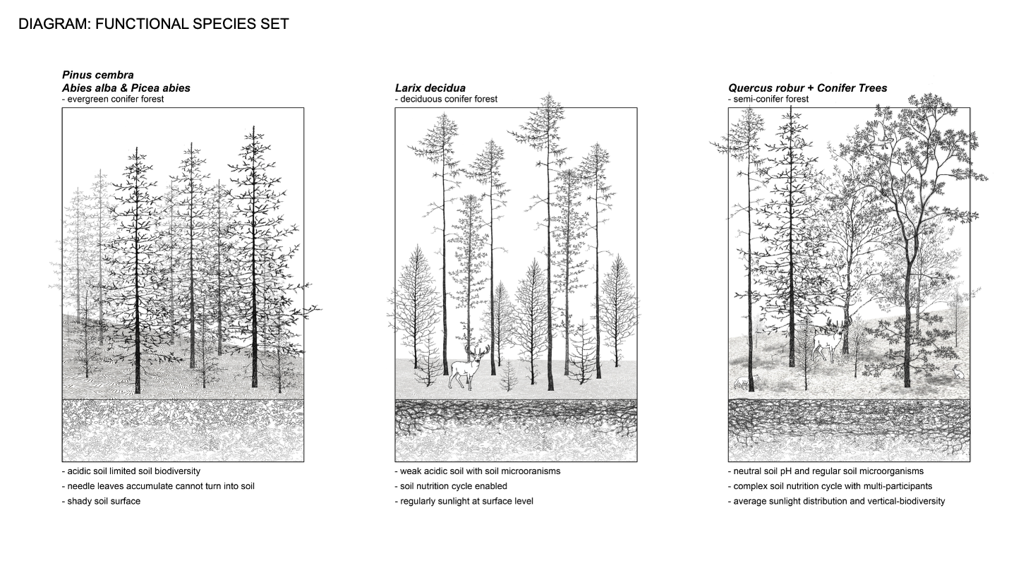 Reconstruction of Blatten Cultural Landscape — presentation board 3