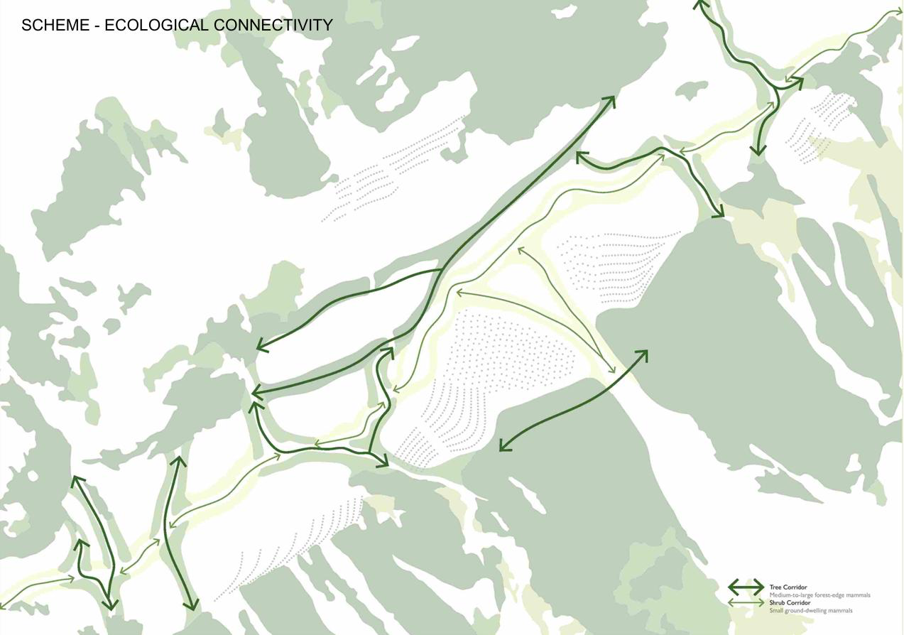 Ecological Connectivity — Study of Legal Structure in Blatten Reconstruction