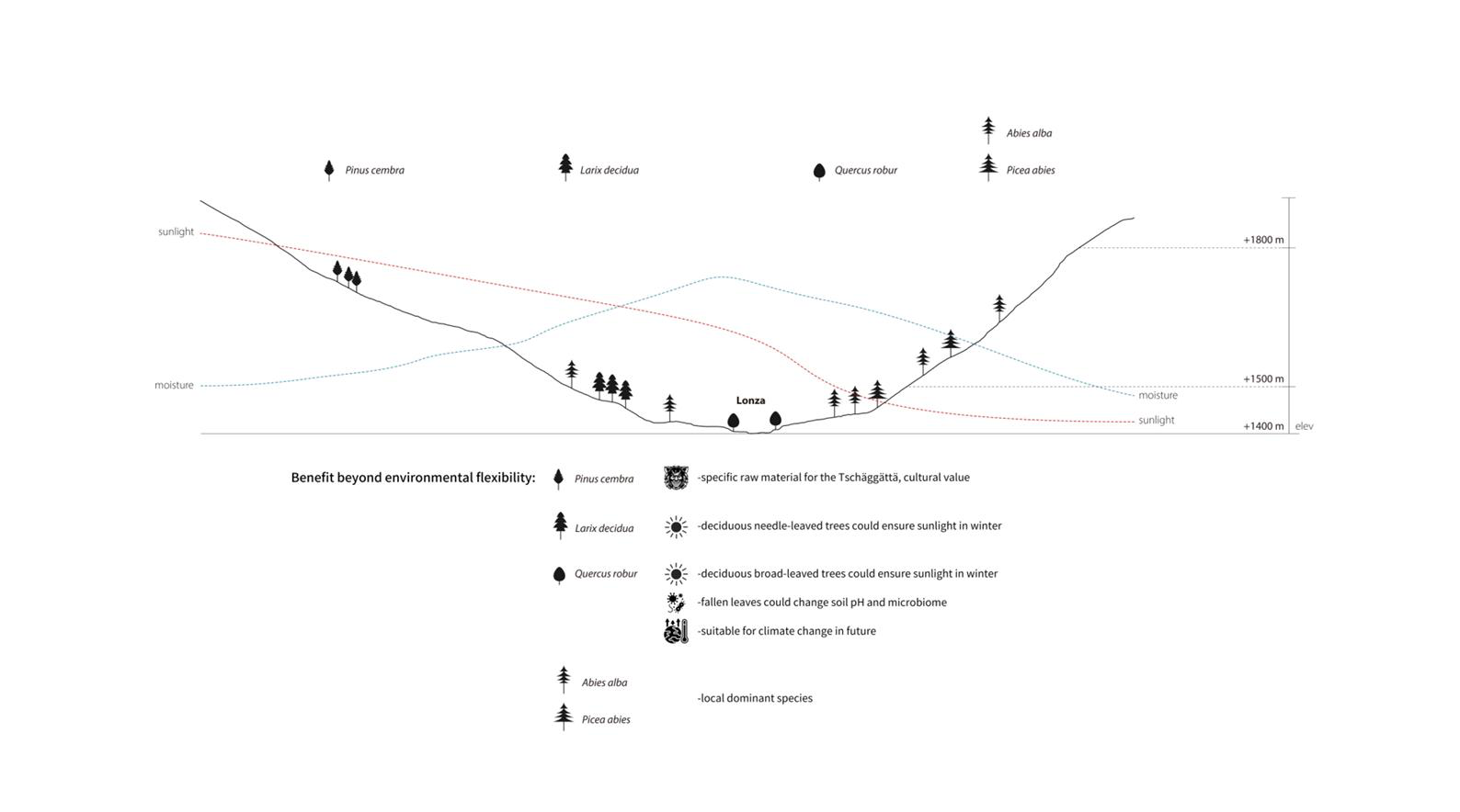 Species Selection — Study of Legal Structure in Blatten Reconstruction